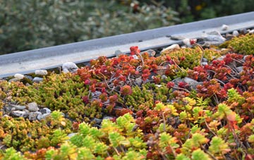 the cost of Simonsburrow green roof installation