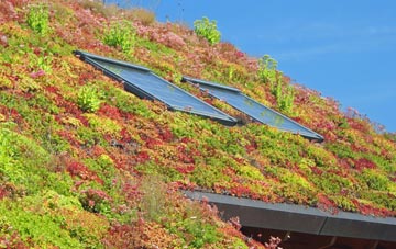 Simonsburrow living roof systems